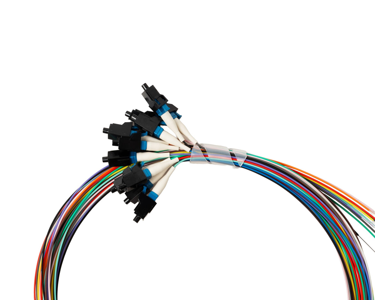 netsuite:1904744