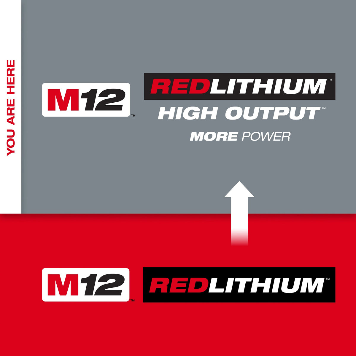 netsuite:1774609